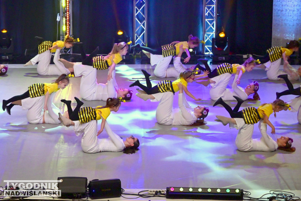 Zdjęcia B. Myśliwca z koncertu FRAM