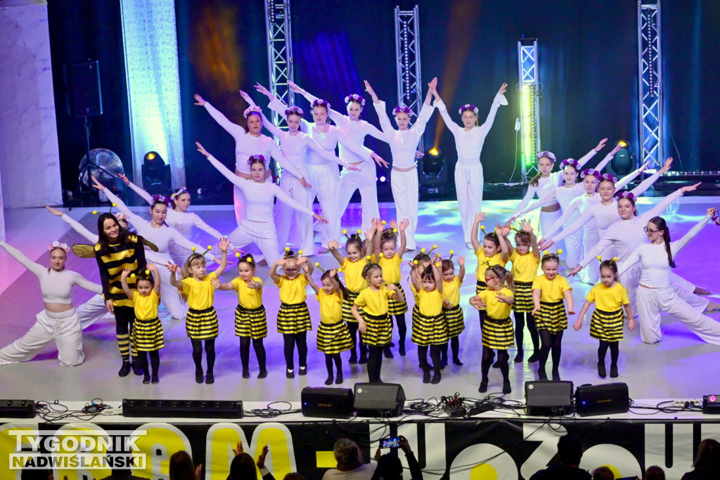 Zdjęcia B. Myśliwca z koncertu FRAM