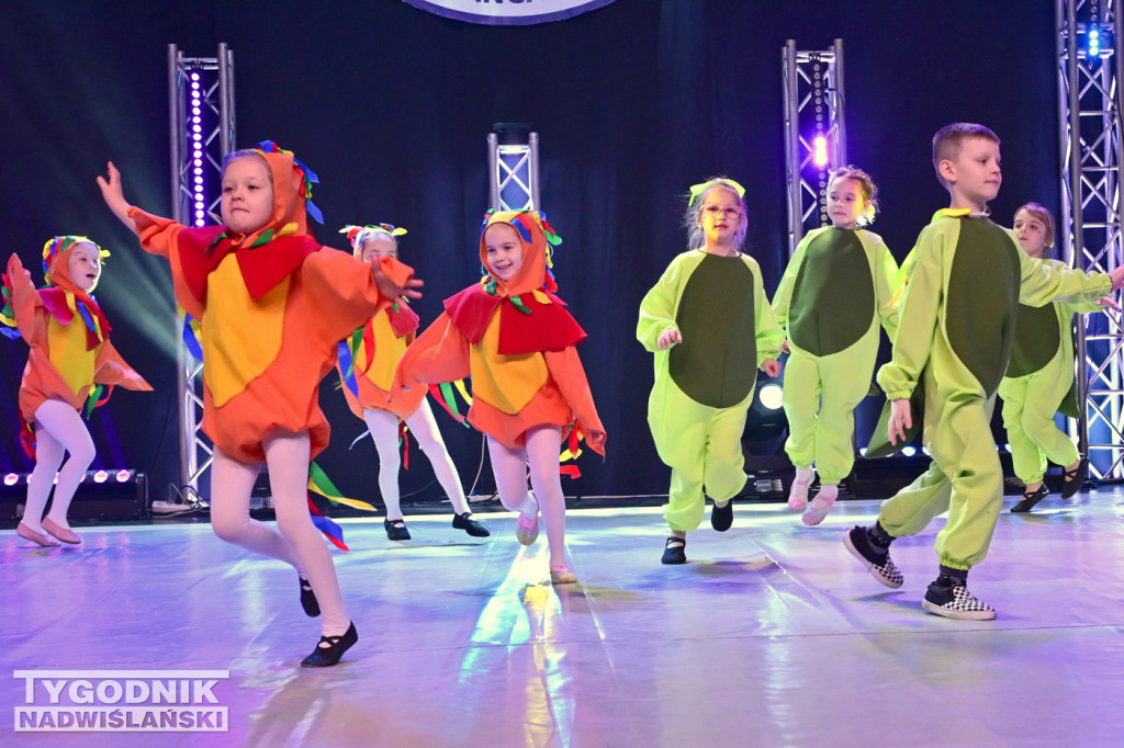 Zdjęcia B. Myśliwca z koncertu FRAM