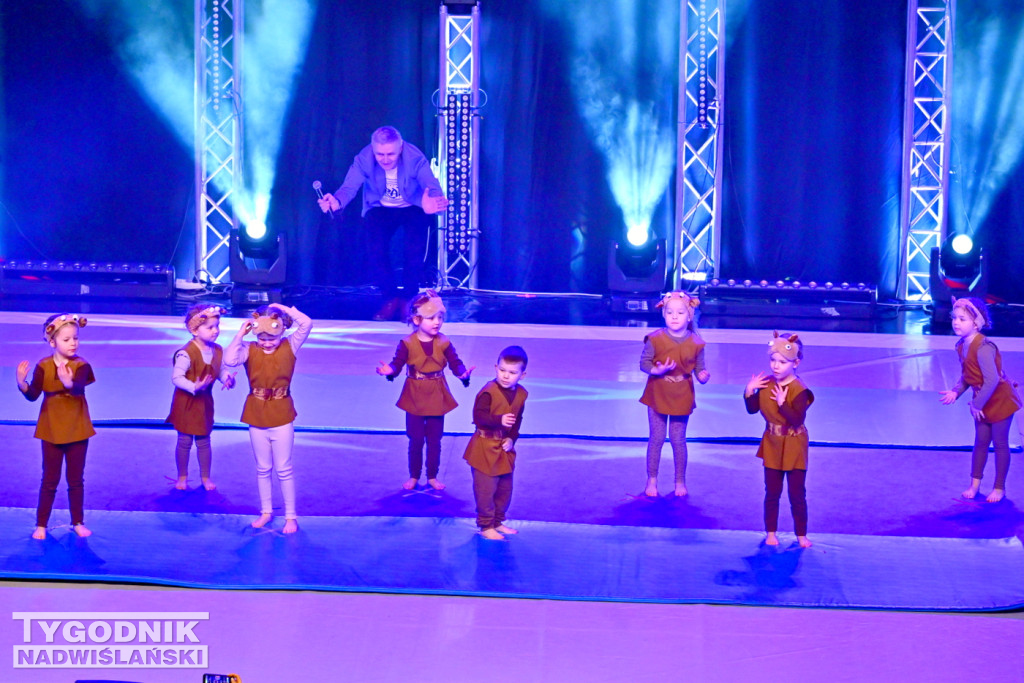 Zdjęcia B. Myśliwca z koncertu FRAM