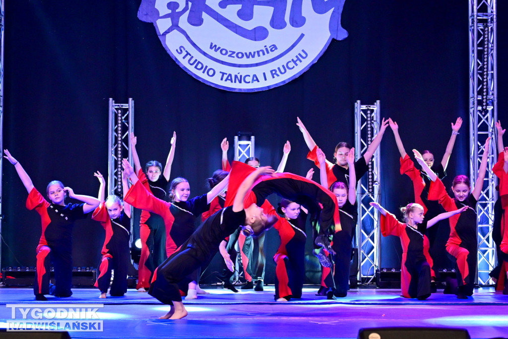 Zdjęcia B. Myśliwca z koncertu FRAM