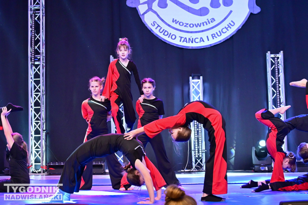 Zdjęcia B. Myśliwca z koncertu FRAM