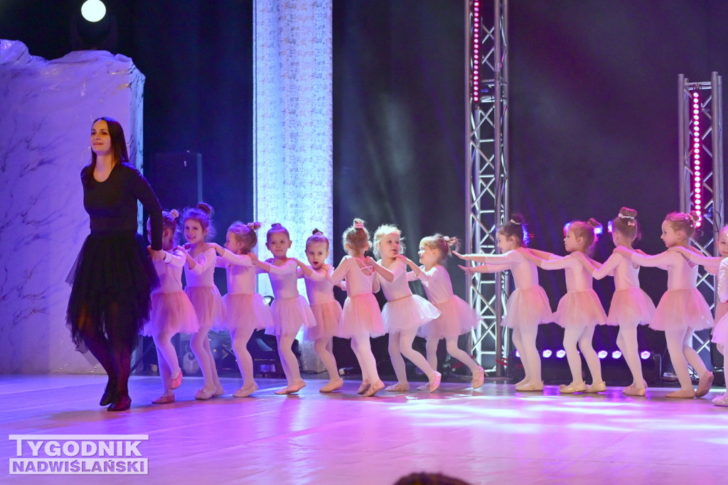 Zdjęcia B. Myśliwca z koncertu FRAM