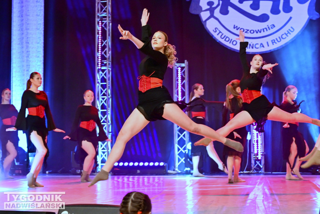 Zdjęcia B. Myśliwca z koncertu FRAM