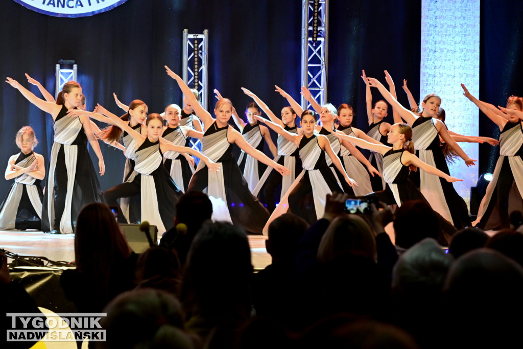 Zdjęcia B. Myśliwca z koncertu FRAM