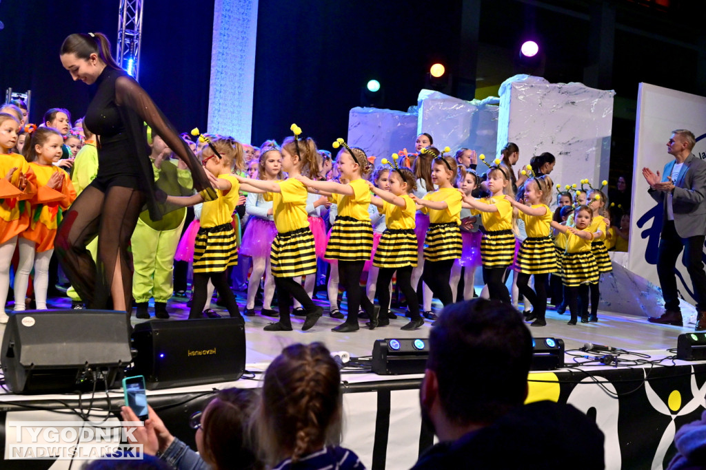 Zdjęcia B. Myśliwca z koncertu FRAM