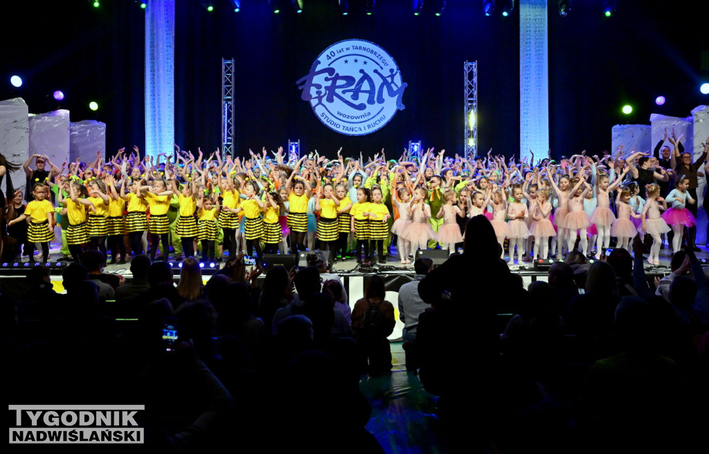 Zdjęcia B. Myśliwca z koncertu FRAM