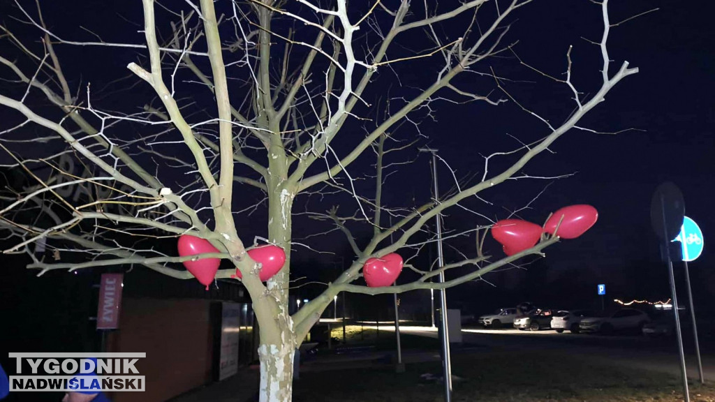 Lodowate Walentynki nad Jeziorem Tarnobrzeskim