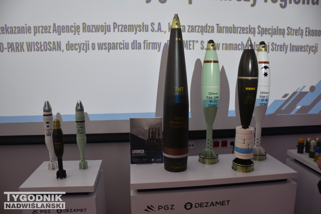 Konferencja w Dezamecie