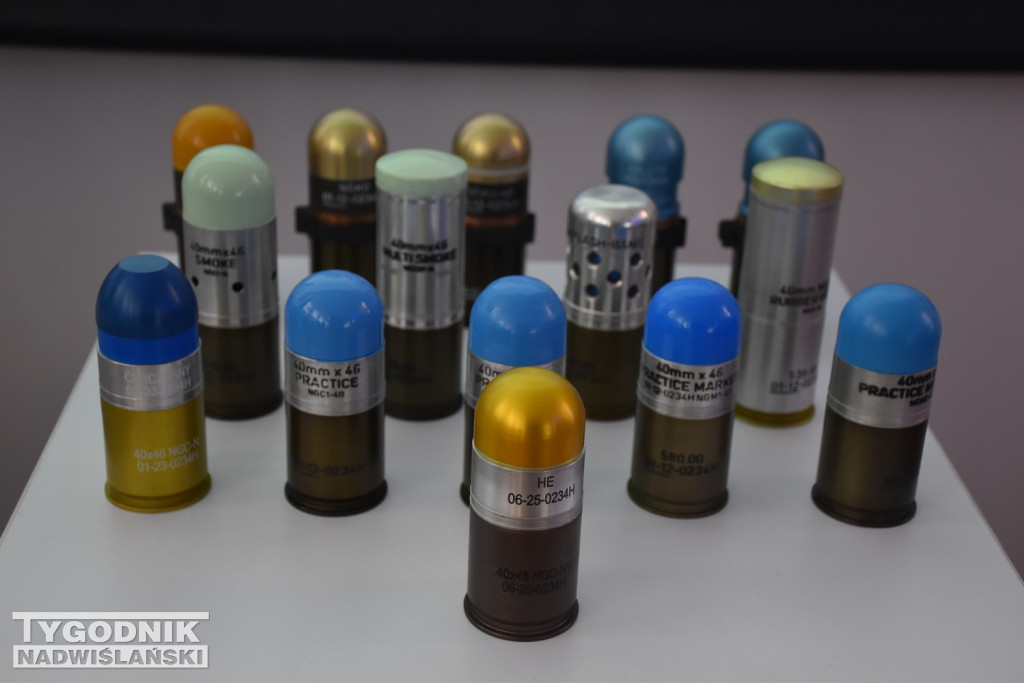 Konferencja w Dezamecie