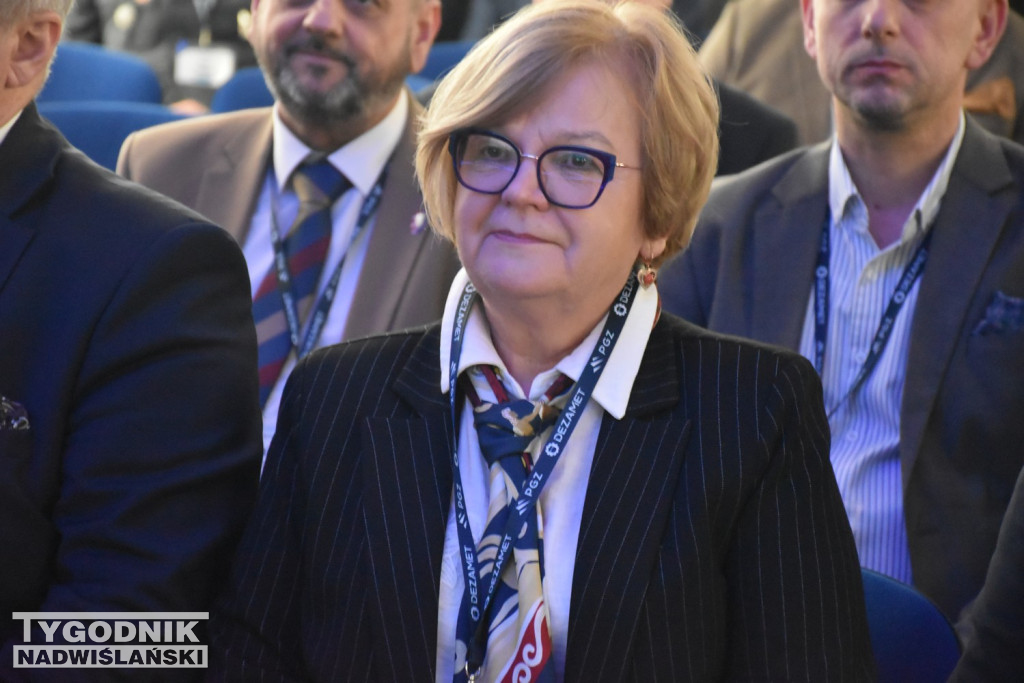 Konferencja w Dezamecie