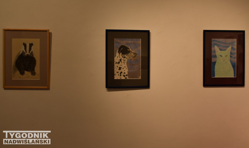 Otwarcie wystawy Karoliny Dousy-Bik w BWA