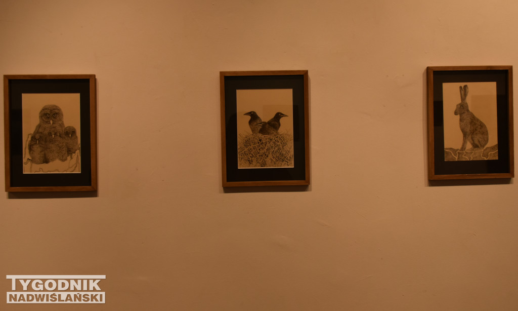 Otwarcie wystawy Karoliny Dousy-Bik w BWA