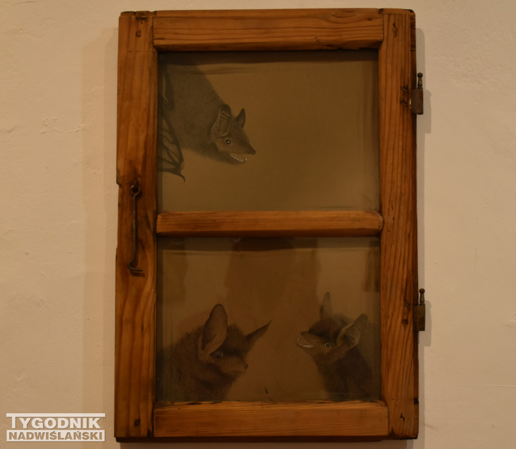 Otwarcie wystawy Karoliny Dousy-Bik w BWA