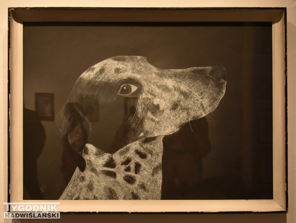 Otwarcie wystawy Karoliny Dousy-Bik w BWA