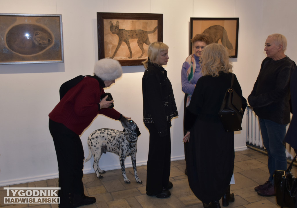 Otwarcie wystawy Karoliny Dousy-Bik w BWA