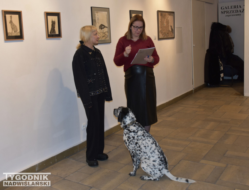 Otwarcie wystawy Karoliny Dousy-Bik w BWA