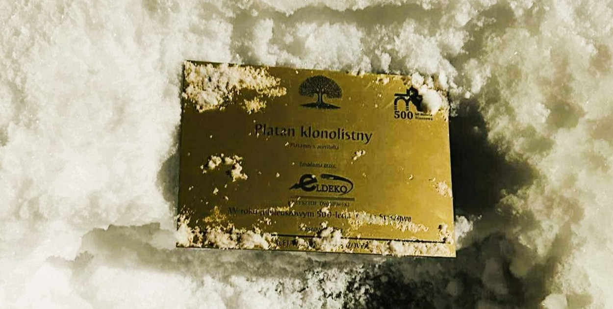 Wandalizm w staszowskim parku