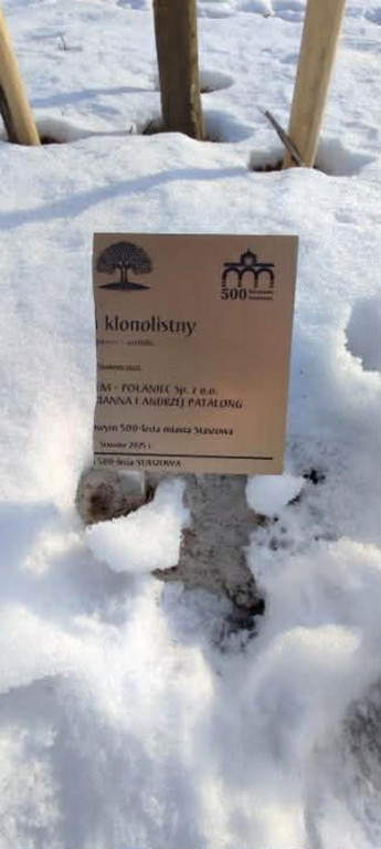 Wandalizm w staszowskim parku