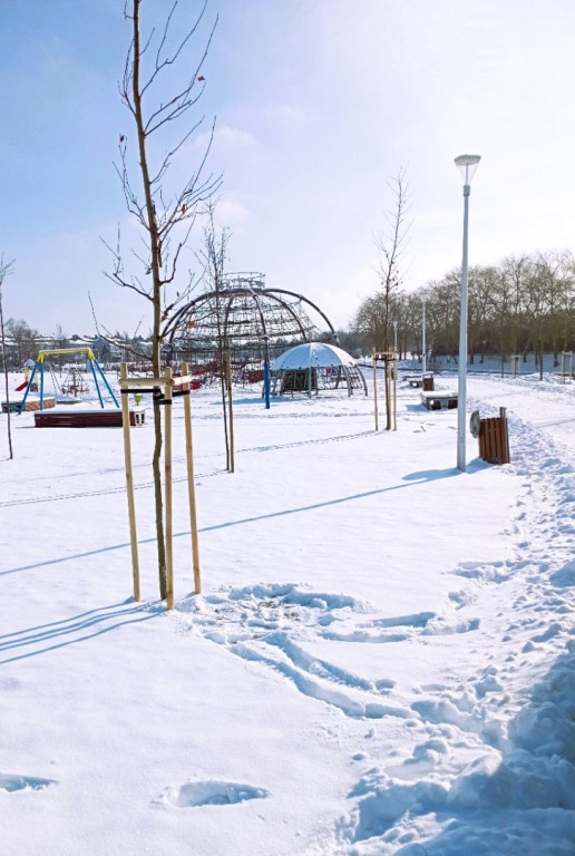 Wandalizm w staszowskim parku