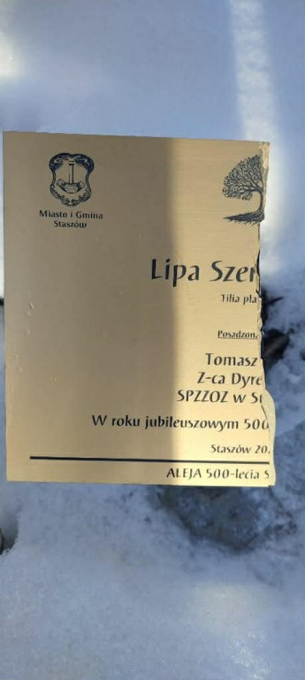 Wandalizm w staszowskim parku