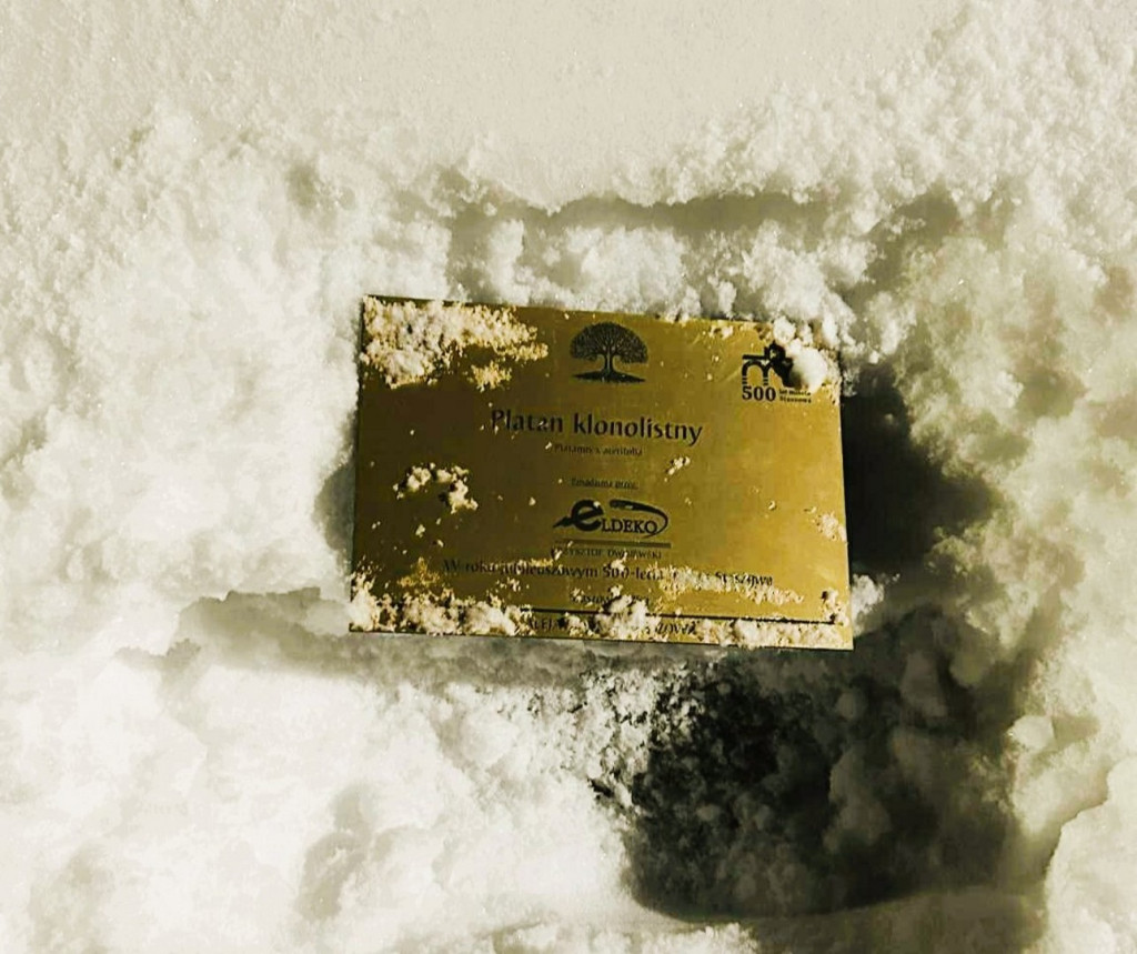 Wandalizm w staszowskim parku