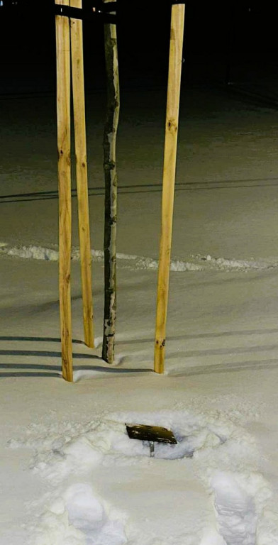 Wandalizm w staszowskim parku