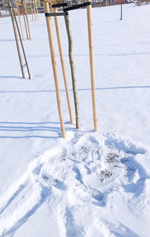 Wandalizm w staszowskim parku