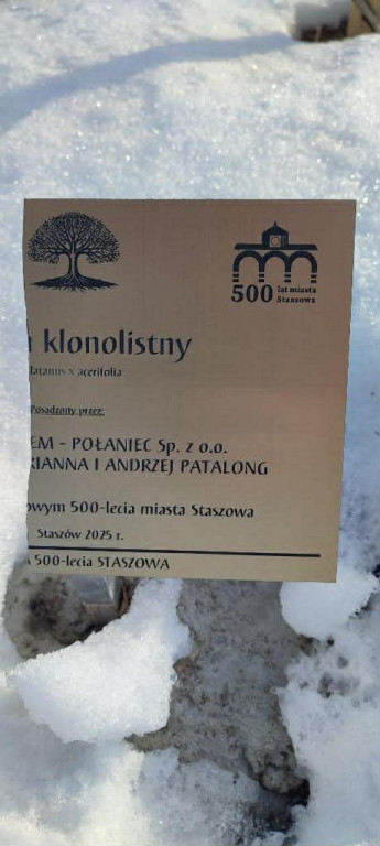 Wandalizm w staszowskim parku