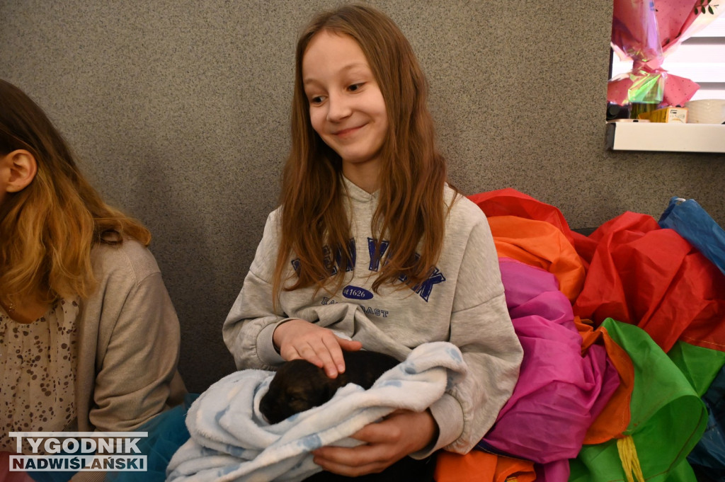 Pomagamy przytulisku w Nowej Dębie