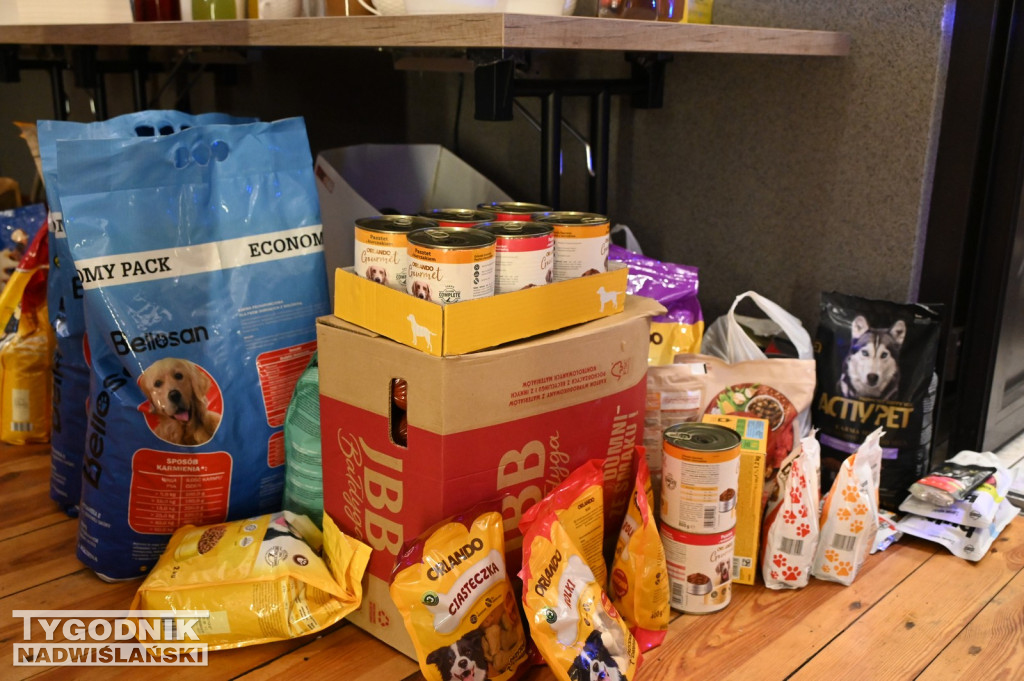 Pomagamy przytulisku w Nowej Dębie