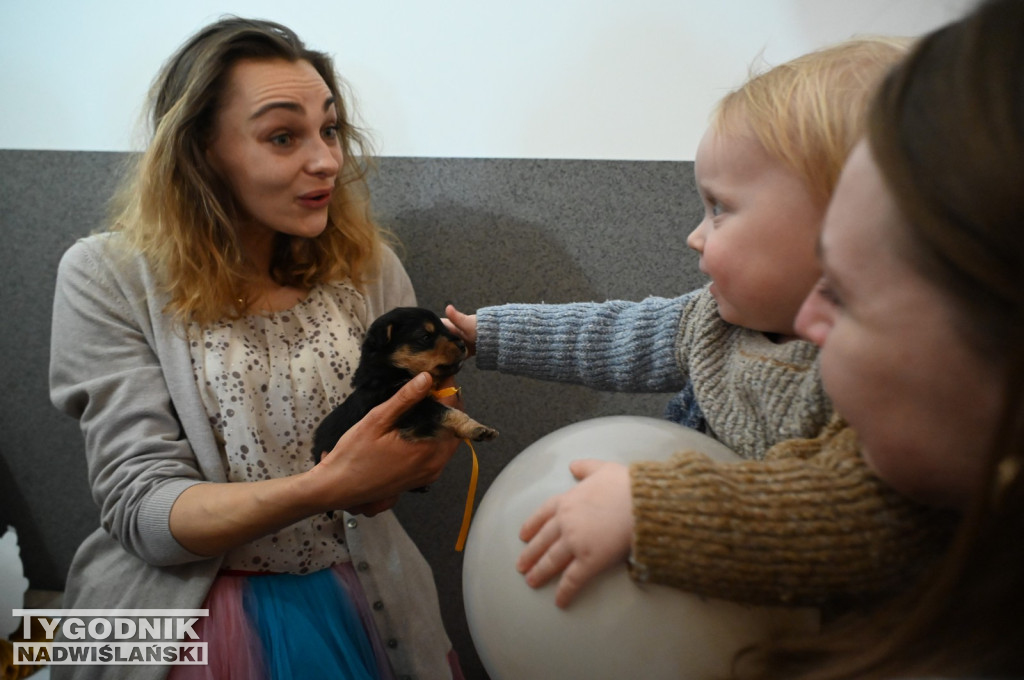 Pomagamy przytulisku w Nowej Dębie