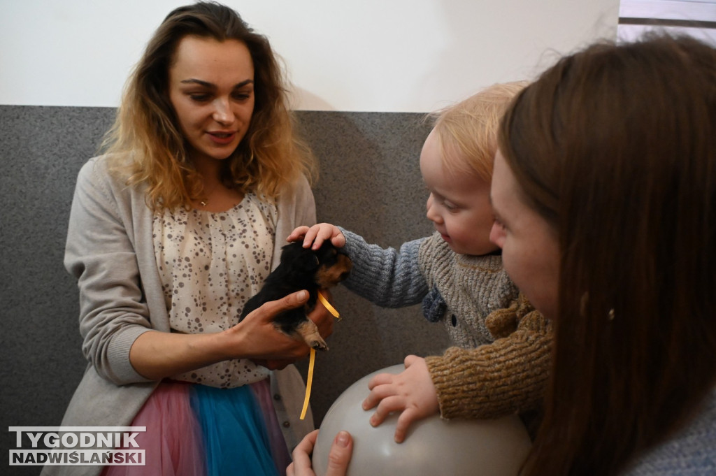 Pomagamy przytulisku w Nowej Dębie