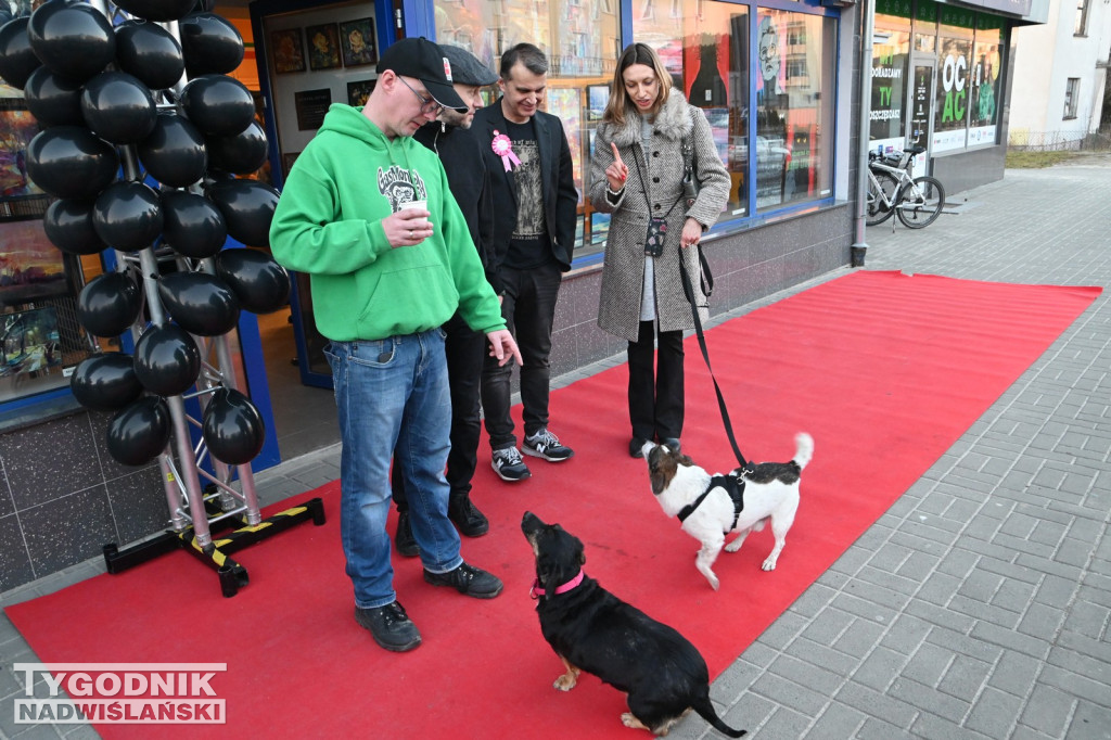Witryna Sztuki w Tarnobrzegu obchodzi pierwsze urodziny