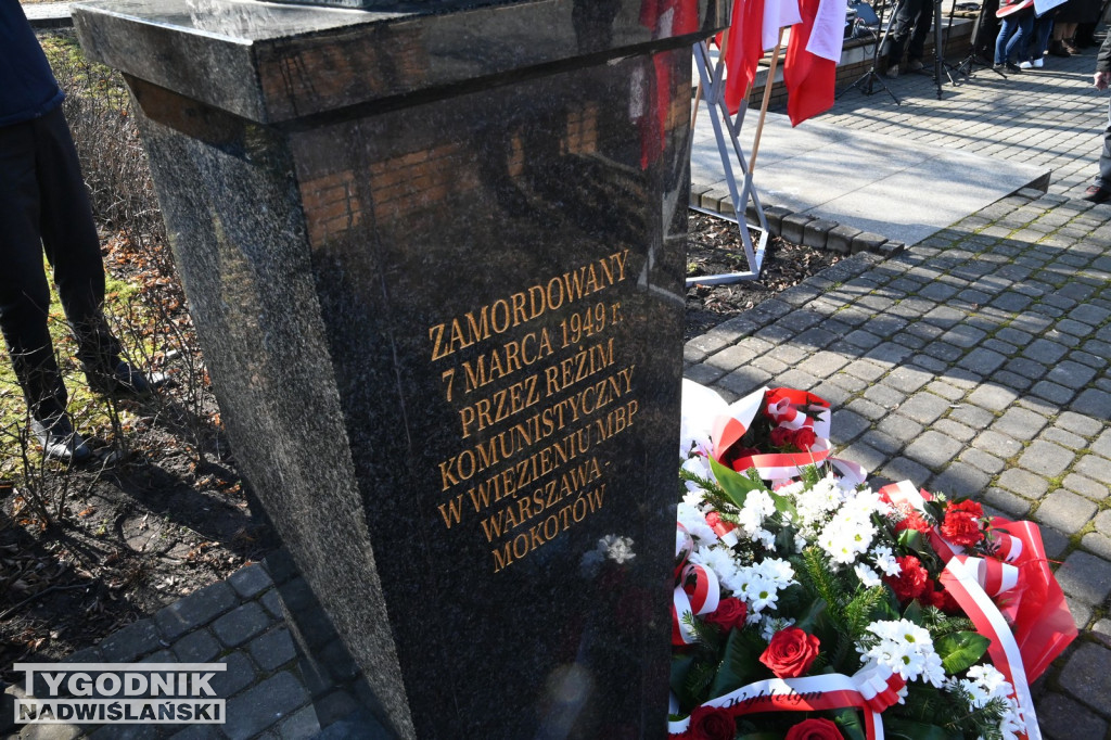 Bieg Wilczym Tropem 2026 w Tarnobrzegu