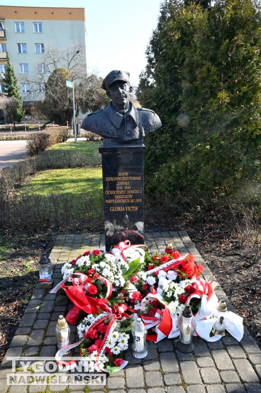 Bieg Wilczym Tropem 2026 w Tarnobrzegu