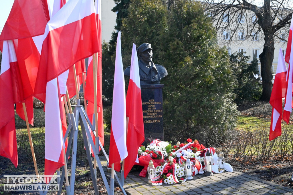 Bieg Wilczym Tropem 2026 w Tarnobrzegu