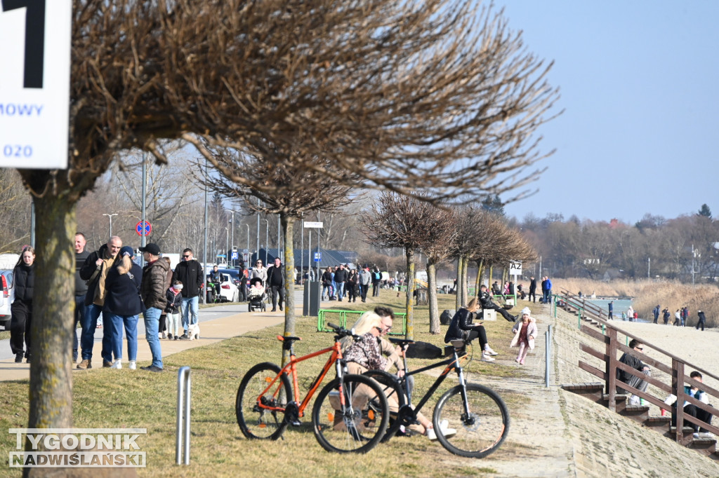 Jezioro Tarnobrzeskie - 1 marca 2026