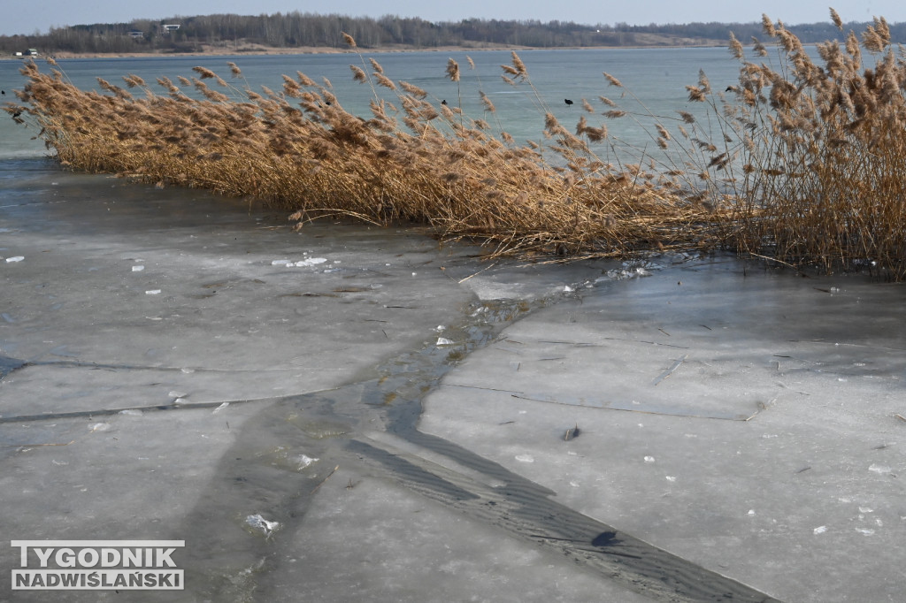 Jezioro Tarnobrzeskie - 1 marca 2026