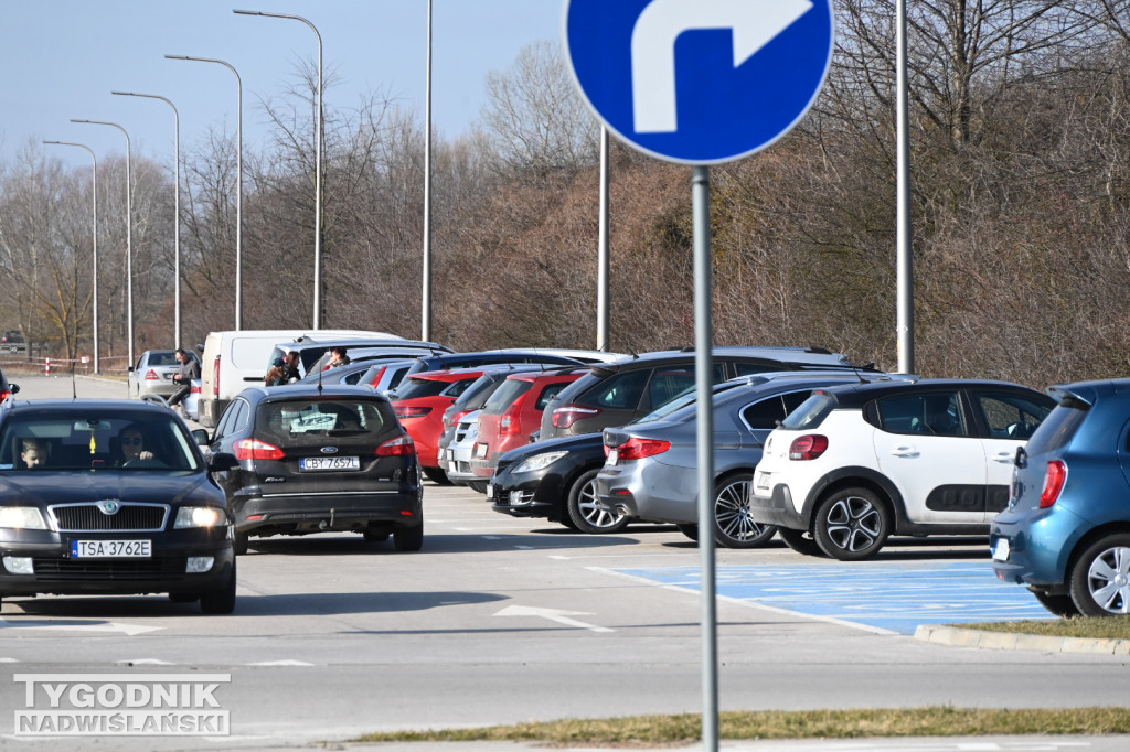 Jezioro Tarnobrzeskie - 1 marca 2026