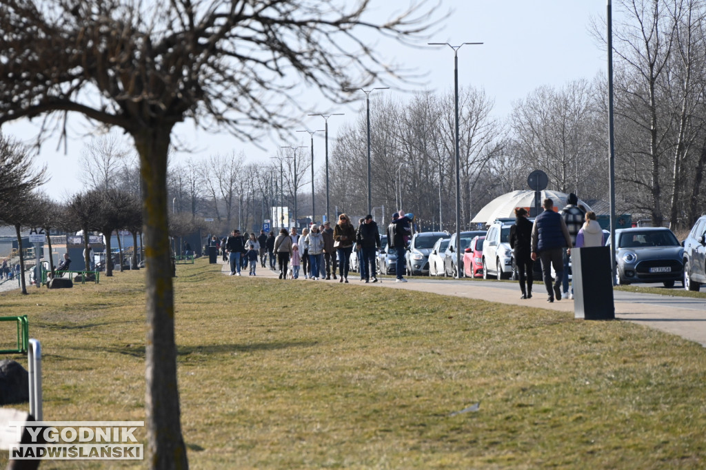 Jezioro Tarnobrzeskie - 1 marca 2026