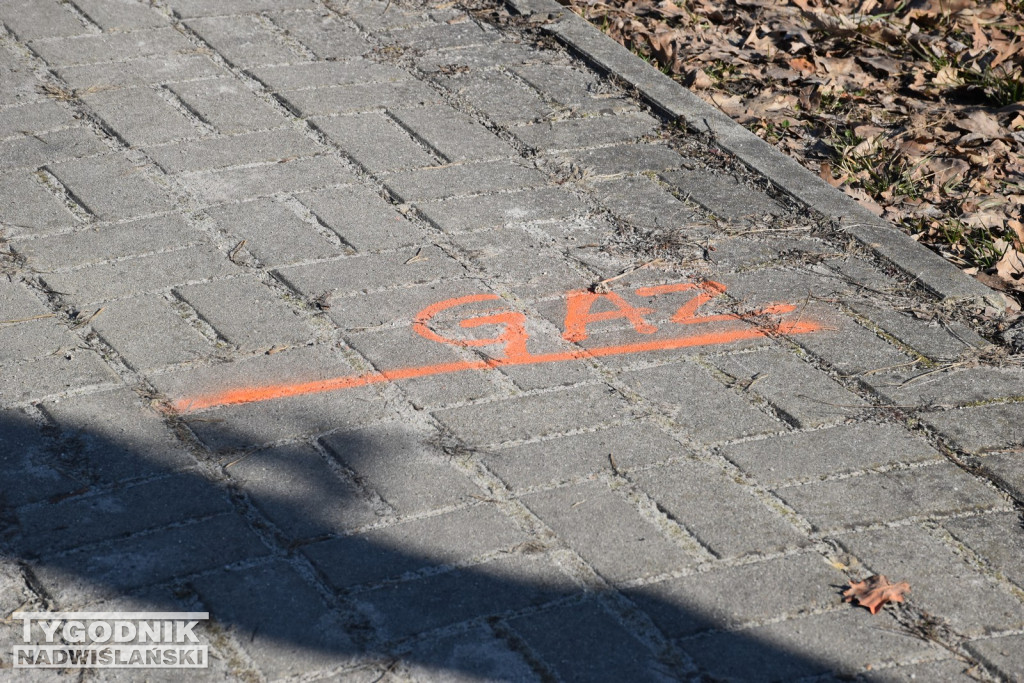 Remont ul. Mickiewicza w Nowej Dębie