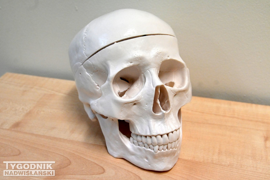 Dzień Otwarty w LO Małego Księcia w Tarnobrzegu