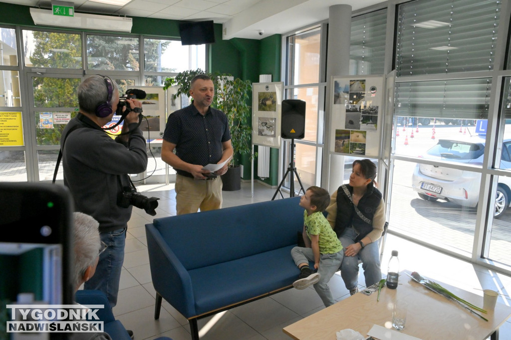 Dzikie na drodze - wyjątkowa wystawa w WORD Tarnobrzeg