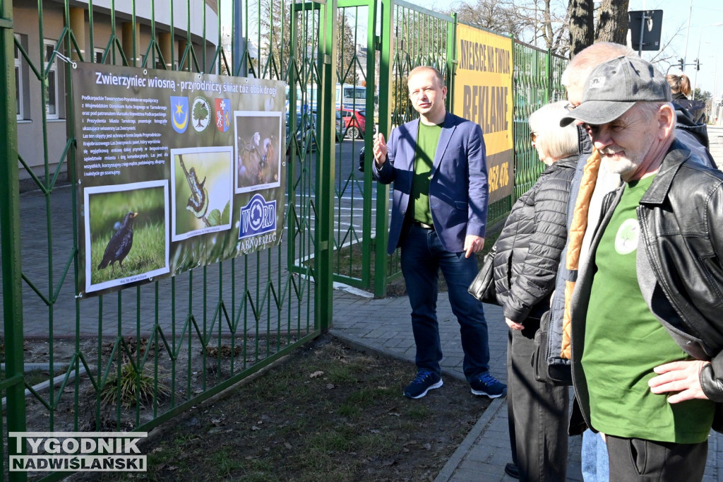 Dzikie na drodze - wyjątkowa wystawa w WORD Tarnobrzeg
