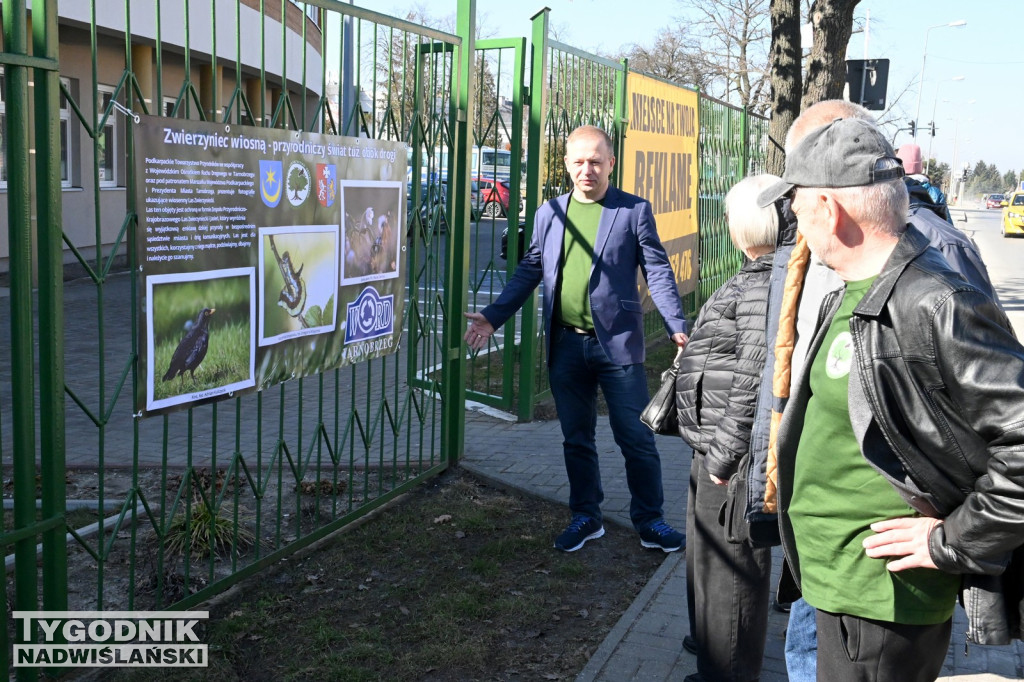 Dzikie na drodze - wyjątkowa wystawa w WORD Tarnobrzeg