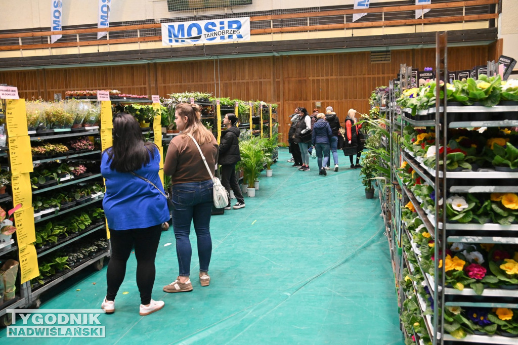 Festiwal Roślin w Tarnobrzegu - marzec 2026