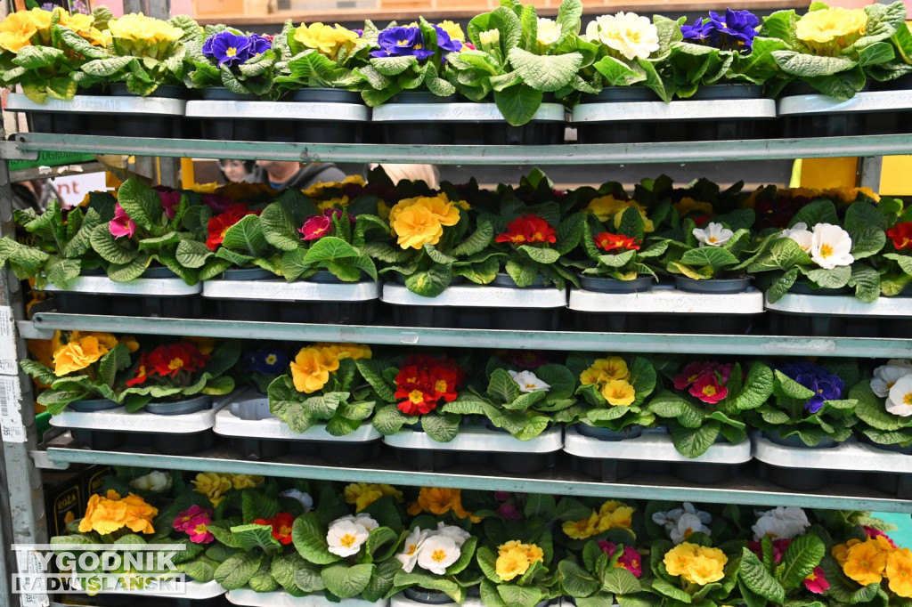 Festiwal Roślin w Tarnobrzegu - marzec 2026