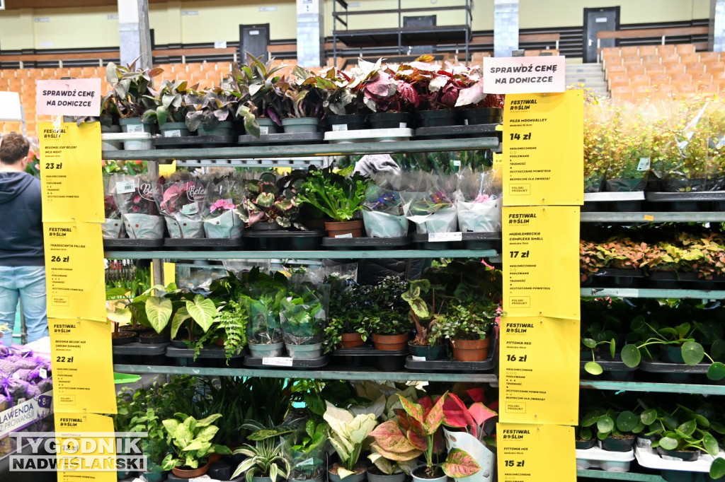 Festiwal Roślin w Tarnobrzegu - marzec 2026