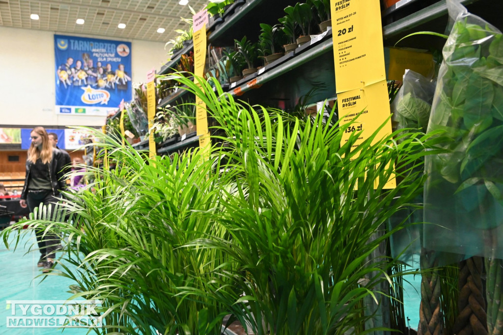 Festiwal Roślin w Tarnobrzegu - marzec 2026